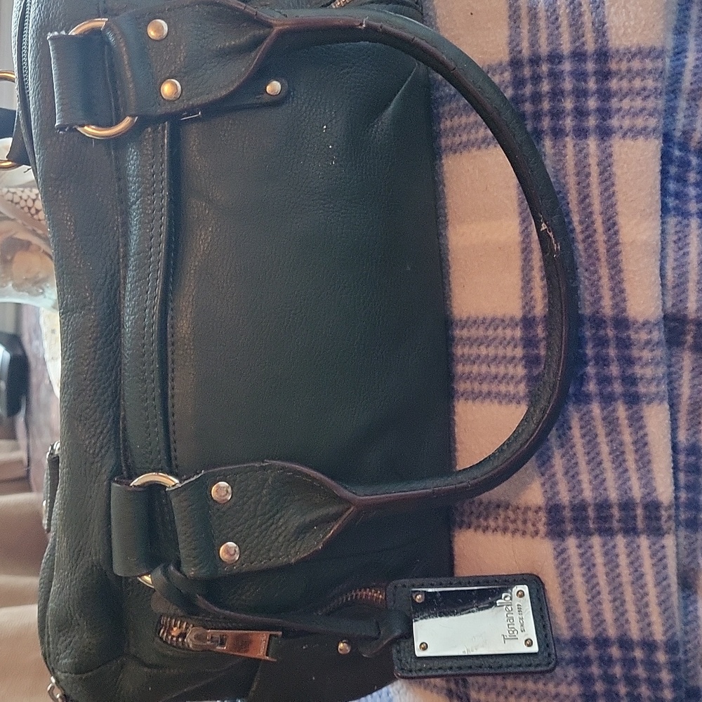 Green Tiganello handbag